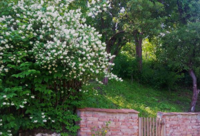 Casa Sighisoara56